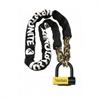 Kryptonite Lock
