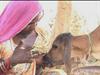 The Breastfeeding Indian Woman