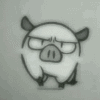 Canadian Kid's Avatar