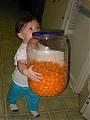 CheeseBall's Avatar