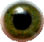 DexIsGod's Avatar