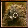 Kippi ben Kippod's Avatar